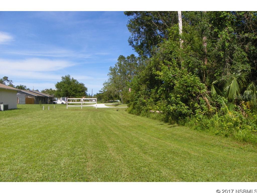 Florida Shores 01 - Land