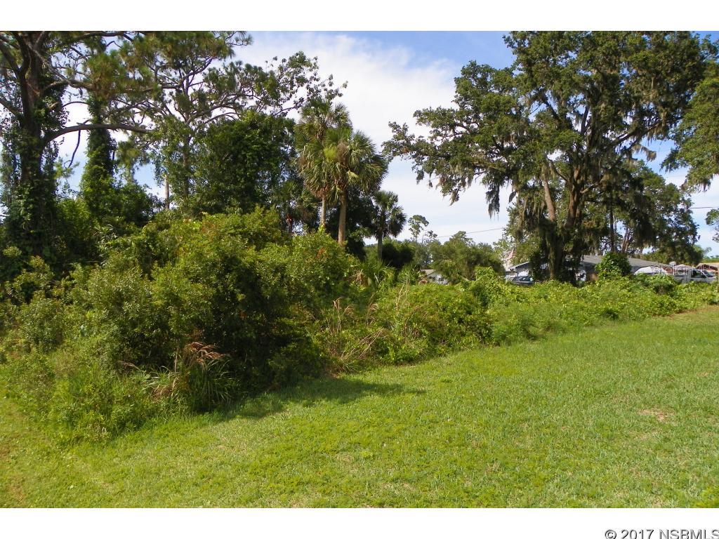 Florida Shores 01 - Land