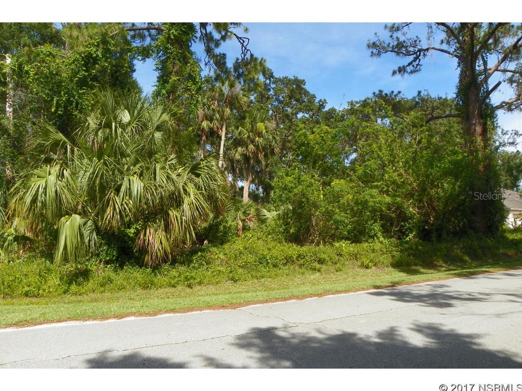 Florida Shores 01 - Land