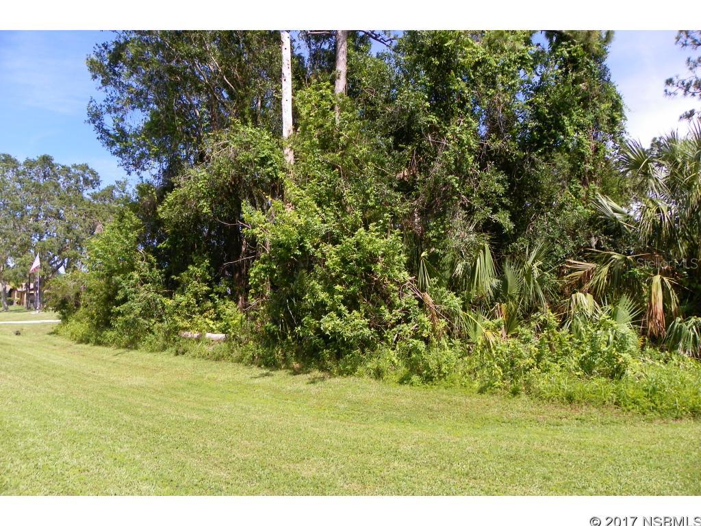 Florida Shores 01 - Land