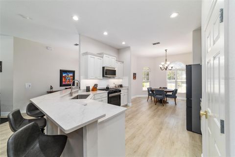Tiny photo for 13920 NE 38th Avenue, Anthony, FL 32617 (MLS # OM725030)