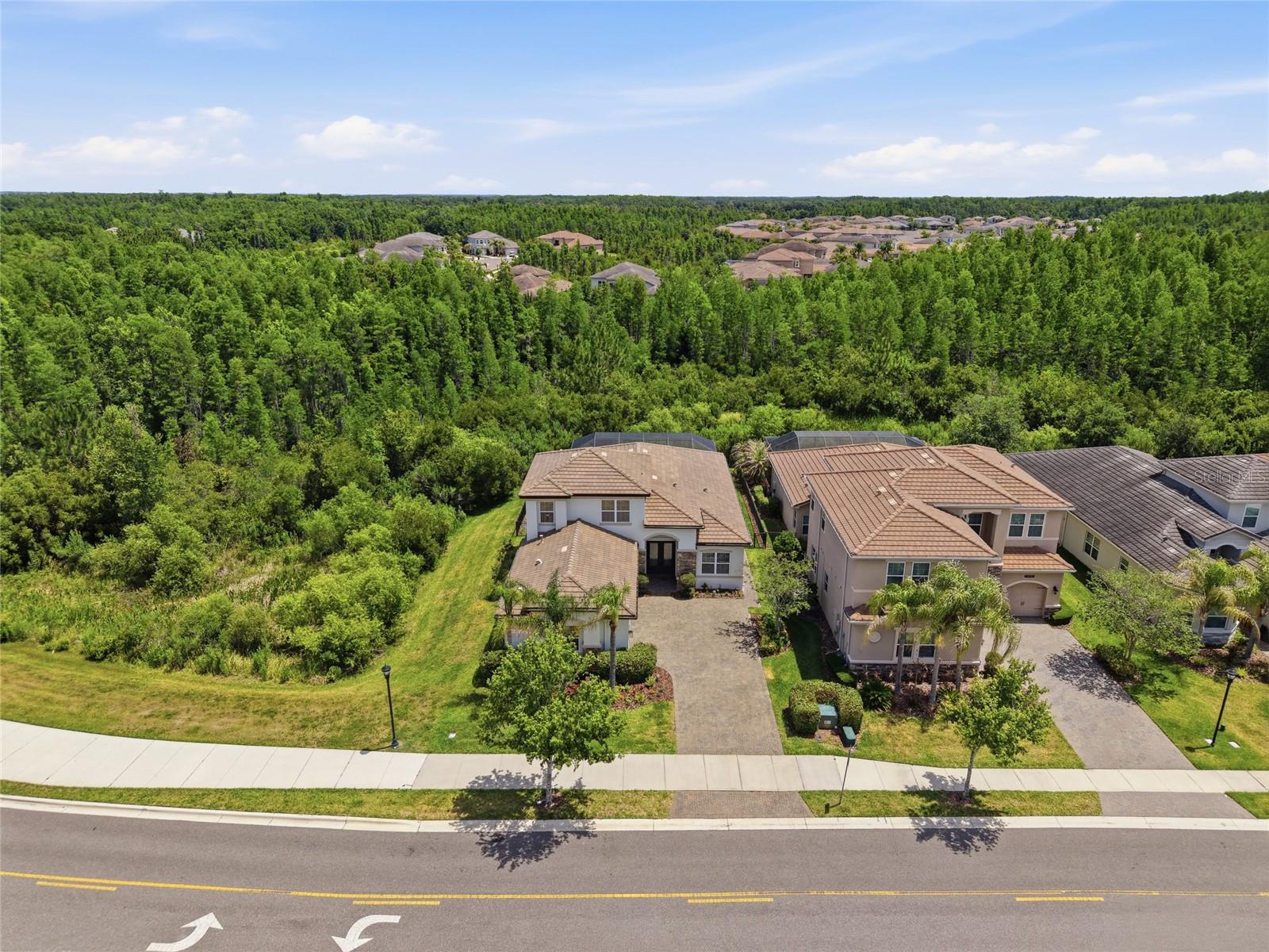 THE RIDGE AT WIREGRASS RANCH - Residential