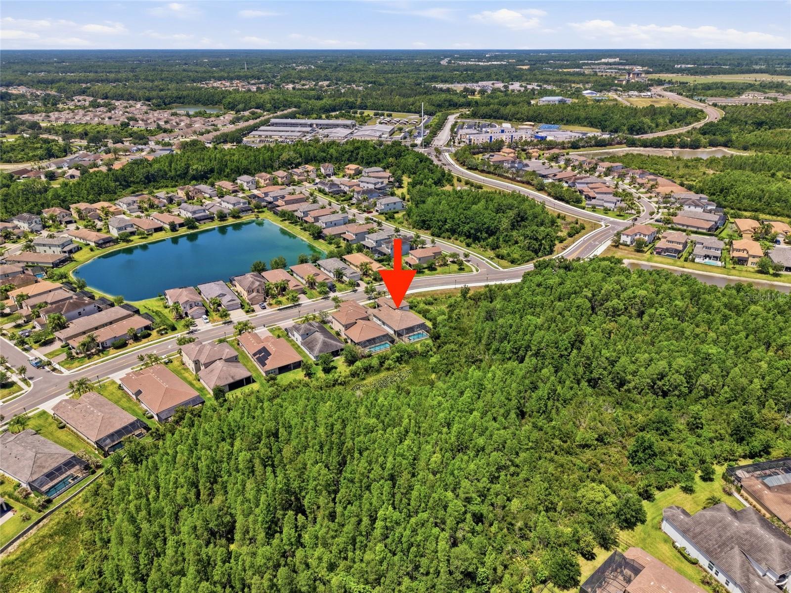 THE RIDGE AT WIREGRASS RANCH - Residential
