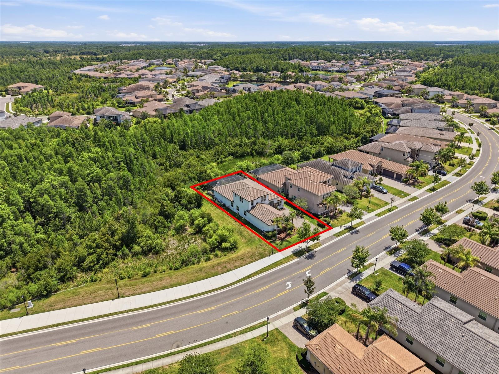 THE RIDGE AT WIREGRASS RANCH - Residential