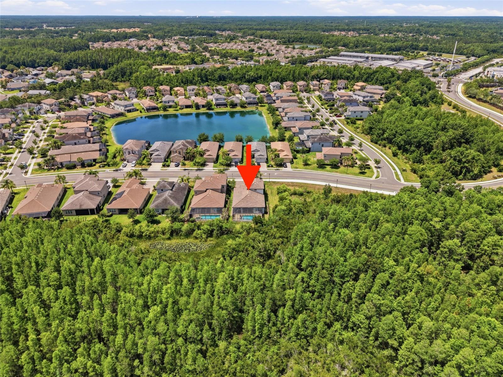 THE RIDGE AT WIREGRASS RANCH - Residential