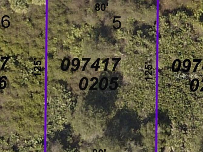 PORT CHARLOTTE SUB 36 - Land