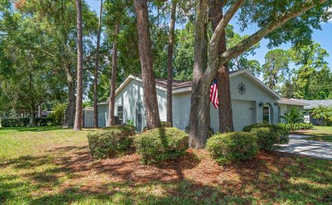 A home in PALM HARBOR