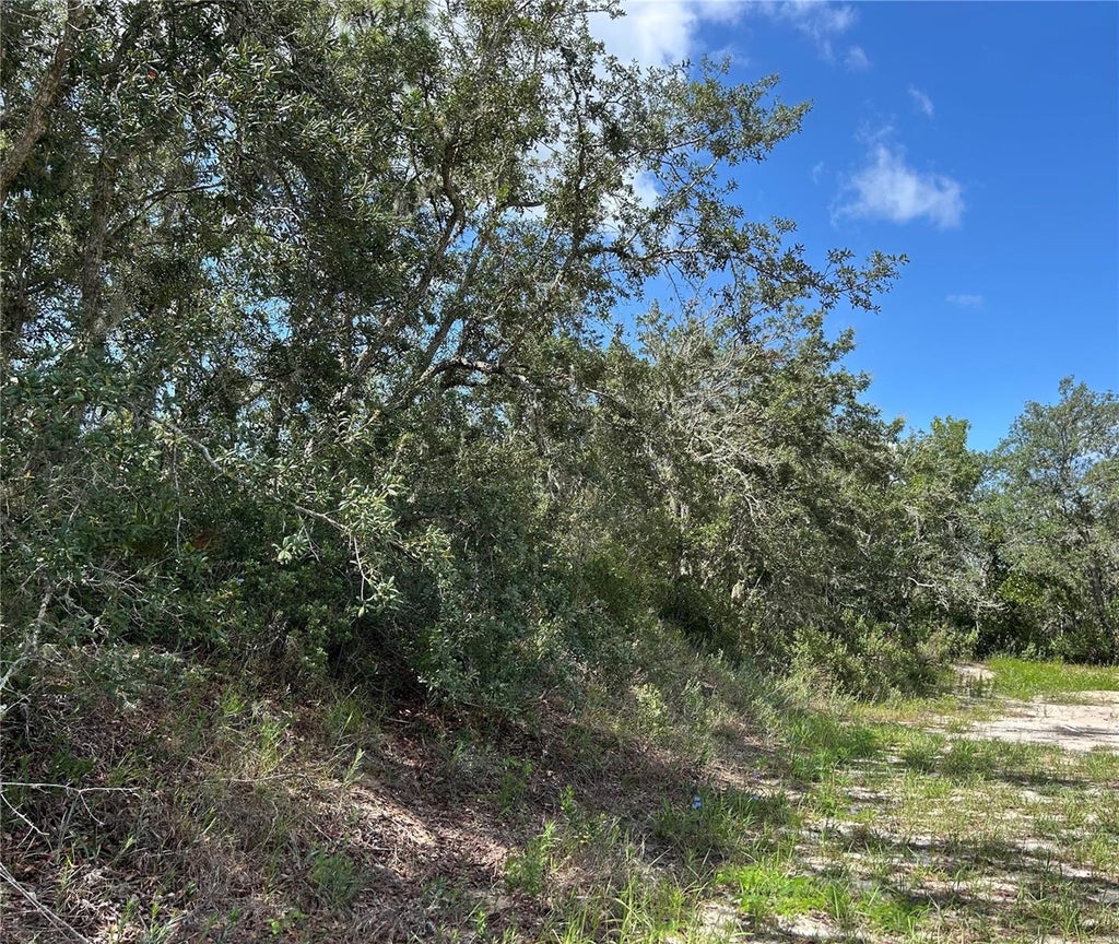 Photo of 106 Sail Place, Kissimmee, FL 34759 (MLS # FC319304)