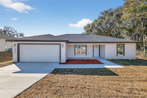 Photo of 13526 SW 113th Lane, Dunnellon, FL 34432 (MLS # OM715773)