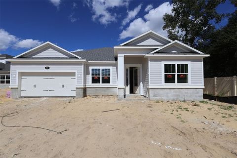 Photo of 699 Pointe Emerson Boulevard, Apopka, FL 32703 (MLS # O6330129)