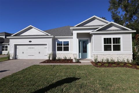 Photo of 699 Pointe Emerson Boulevard, Apopka, FL 32703 (MLS # O6330129)