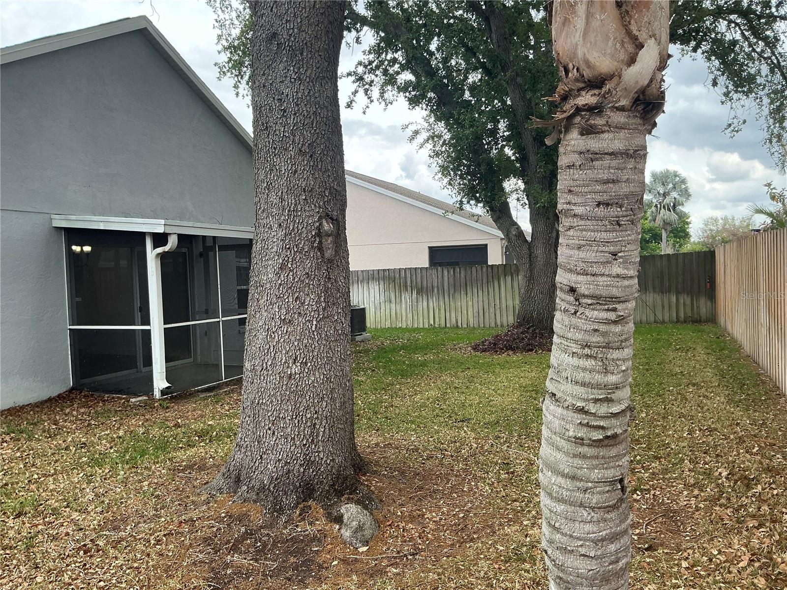 ISLAND WALK PH 01 - Residential