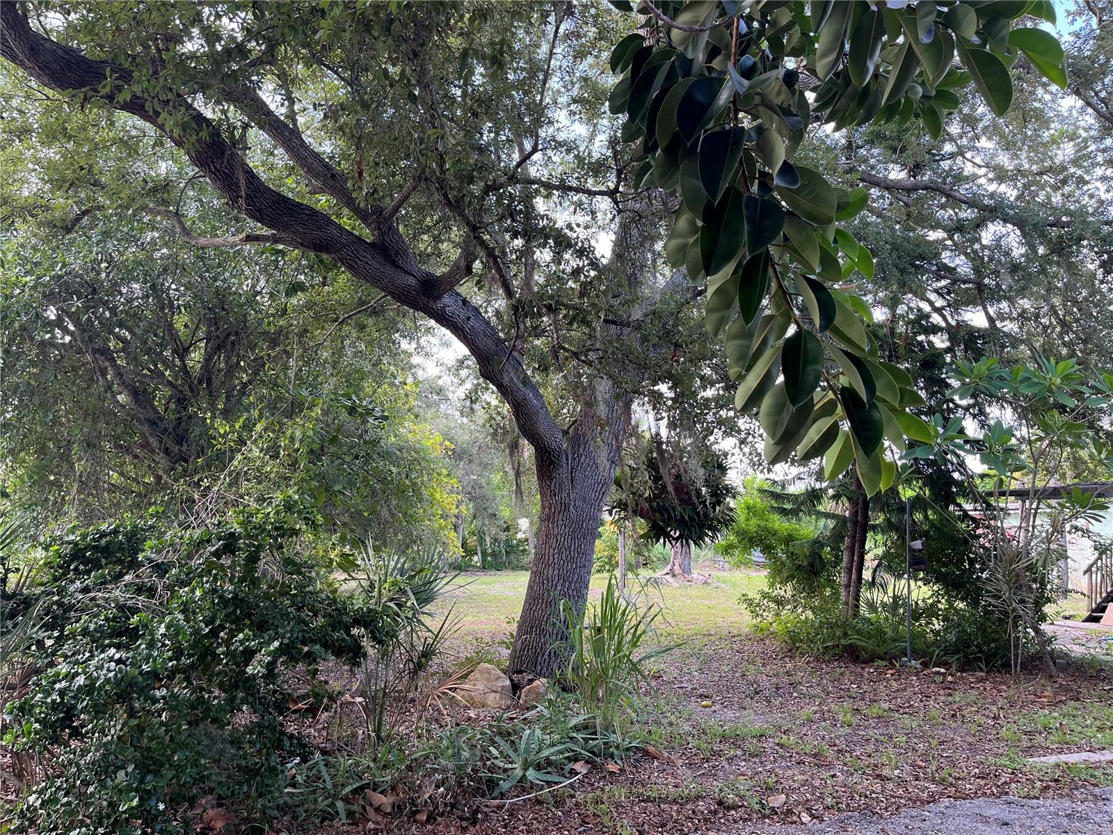 903 ANDERSON ROAD
