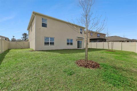 Tiny photo for 4897 Panga Avenue, Mount Dora, FL 32757 (MLS # O6386503)