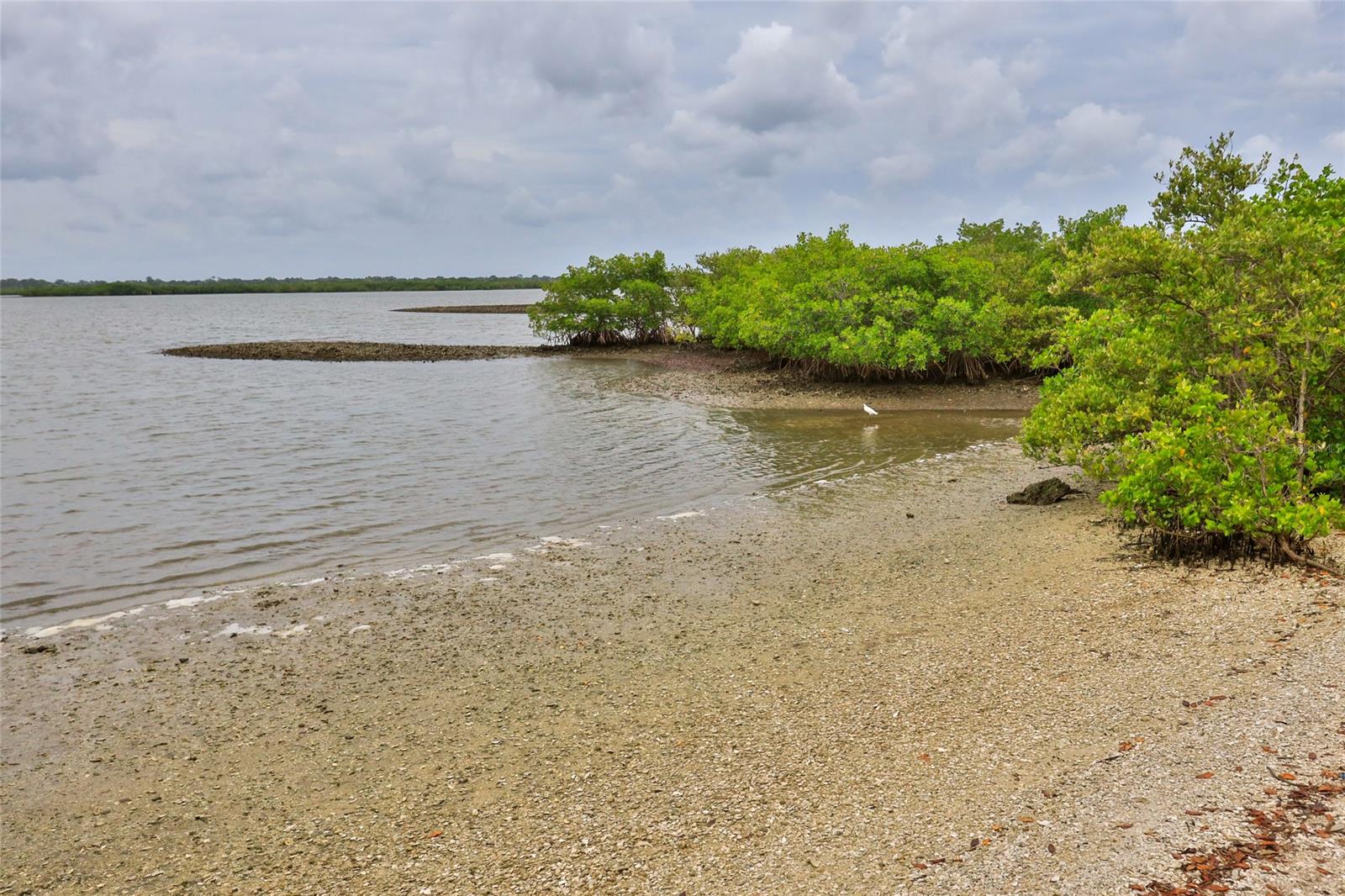 Coronado Cove 01 - Residential