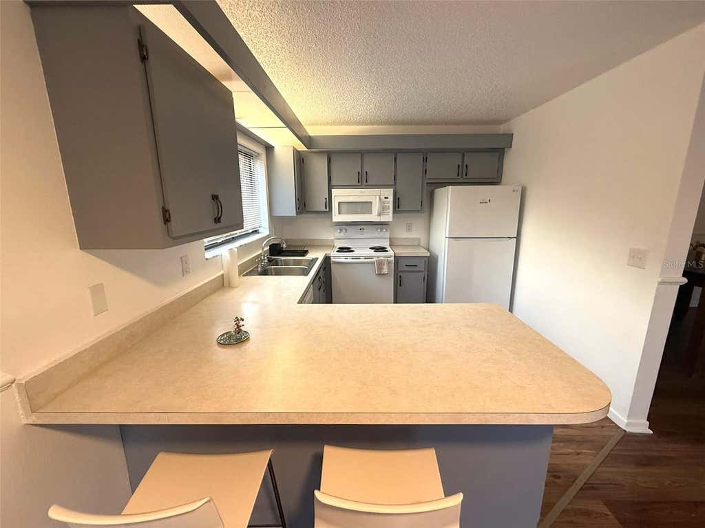 Photo of 1406 Park Shore Circle #3, Fort Myers, FL 33901 (MLS # O6428427)
