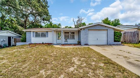 A home in PORT RICHEY