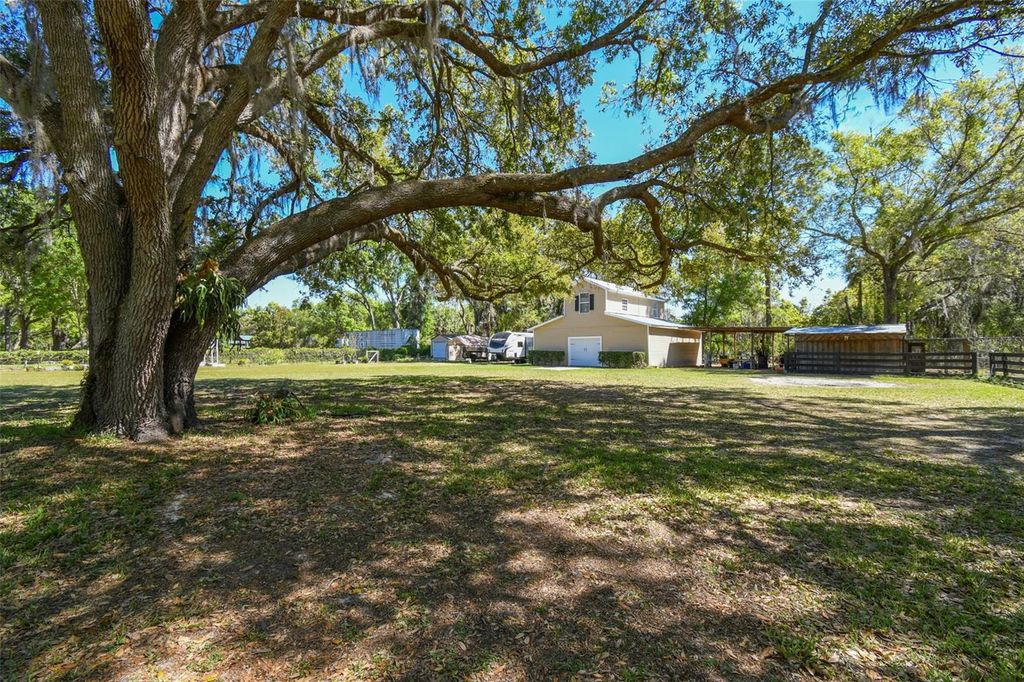 listing image 85