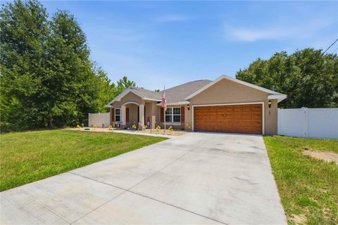 Photo of 162 Guava Terrace, Ocklawaha, FL 32179 (MLS # OM727468)