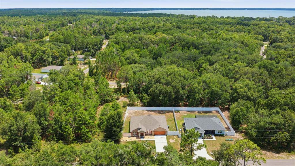 Photo of 162 Guava Terrace, Ocklawaha, FL 32179 (MLS # OM727468)