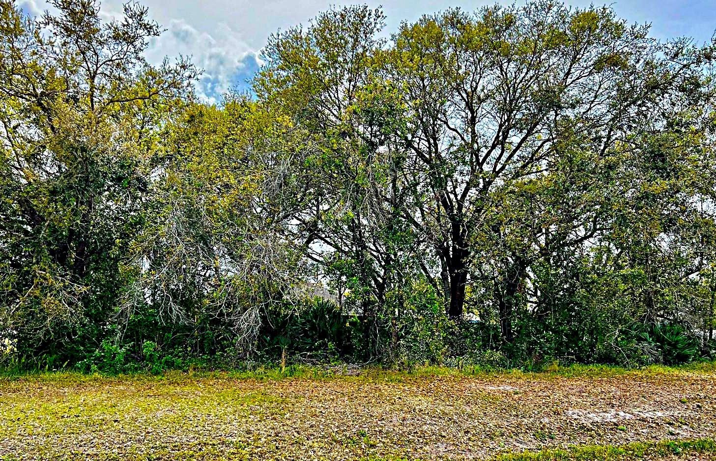 Available for sale .29 acres located in the Wedgefield community. This community offers a host of amenities including a golf course, country club, restaurant, picnic pavilion, skate park, sports court, a 9300-acre Hal Scott preserve on the Econlockhatchee River for hiking, dirt biking, horseback riding, park, playground, basketball court, ball field, and a top-rated K–8 school. Nature lovers will appreciate the nearby Hal Scott Preserve and Park, where you can enjoy hiking, horseback riding, biking, wildlife watching, and fishing in a serene setting. Convenient to Fl-520, SR-50/Colonial Dr, FL-528, I-95, East Orlando Soccer Complex, Avalon Downtown, Waterford Lakes Town Center, UCF, Research Park, Downtown Orlando, MCO/Orlando International Airport, Lake Nona Medical City, Kennedy Space Center, Titusville or Cocoa Beach.