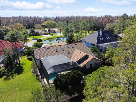 A home in WESLEY CHAPEL