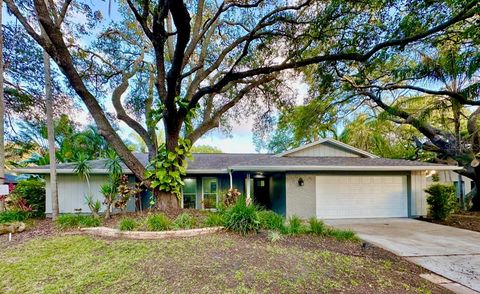 939 WOODLAND DRIVE PALM HARBOR FL 34683