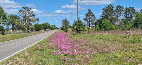 SE 60TH STREET MORRISTON FL 32668