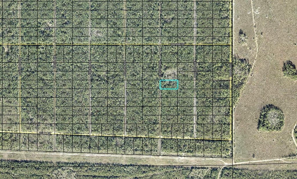 Photo of 103 Crotty Street, Hastings, FL 32145 (MLS # FC321883)