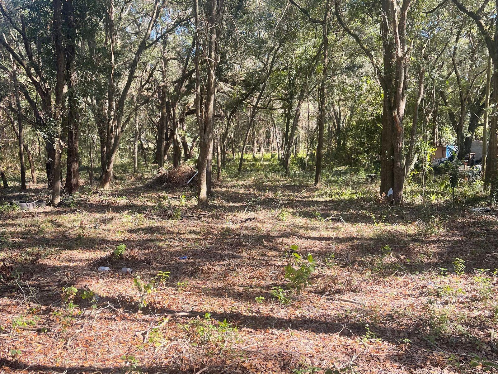 LAKE WEIR HEIGHTS - Land