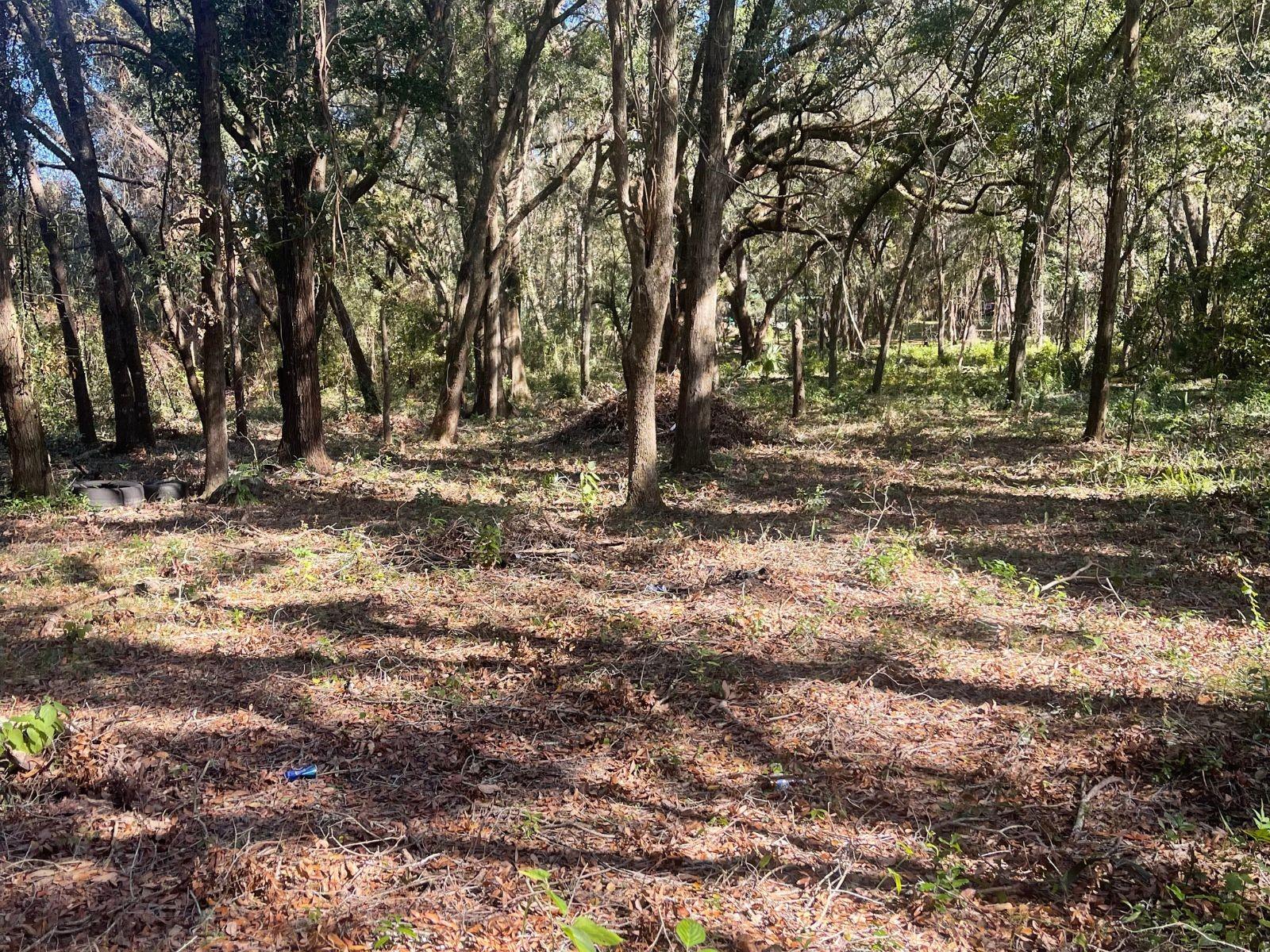 LAKE WEIR HEIGHTS - Land