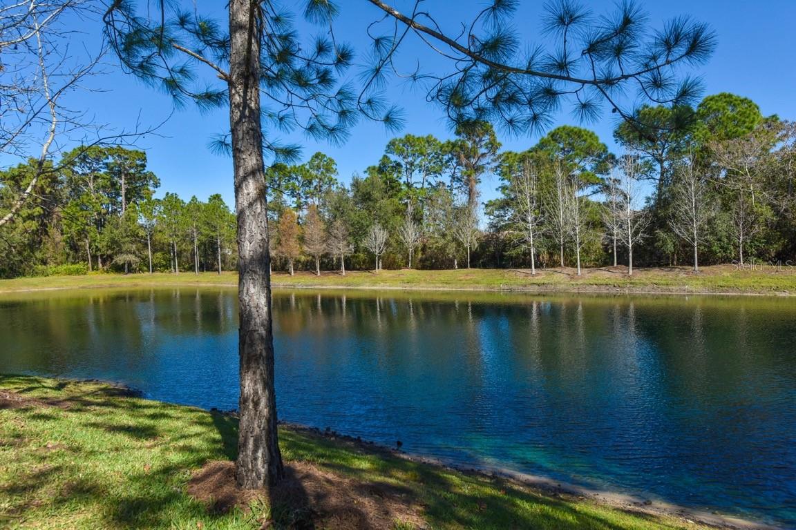 SONOMA PH I - Residential