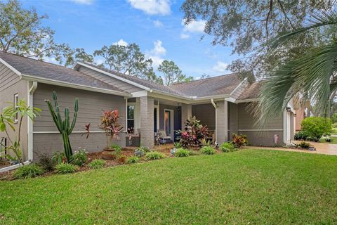 A home in SPRING HILL