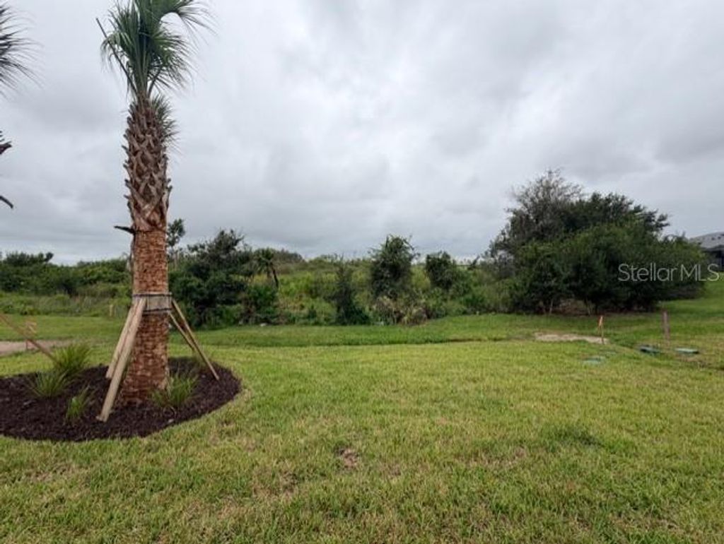 Photo of 18928 Indian Rock Place, Lakewood Ranch, FL 34211 (MLS # TB8437001)