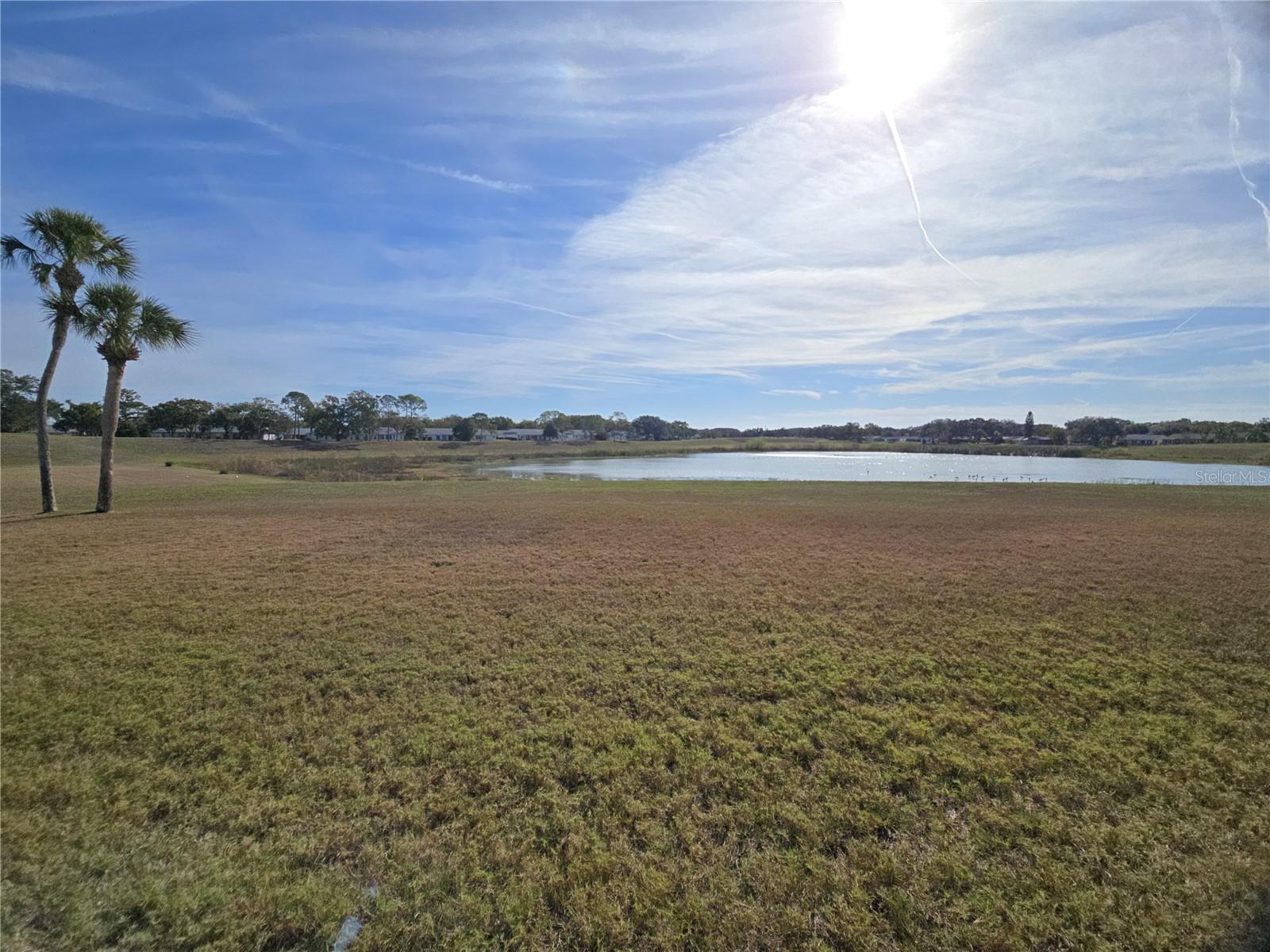 TIMBER OAKS FAIRWAY VILLAS - Residential