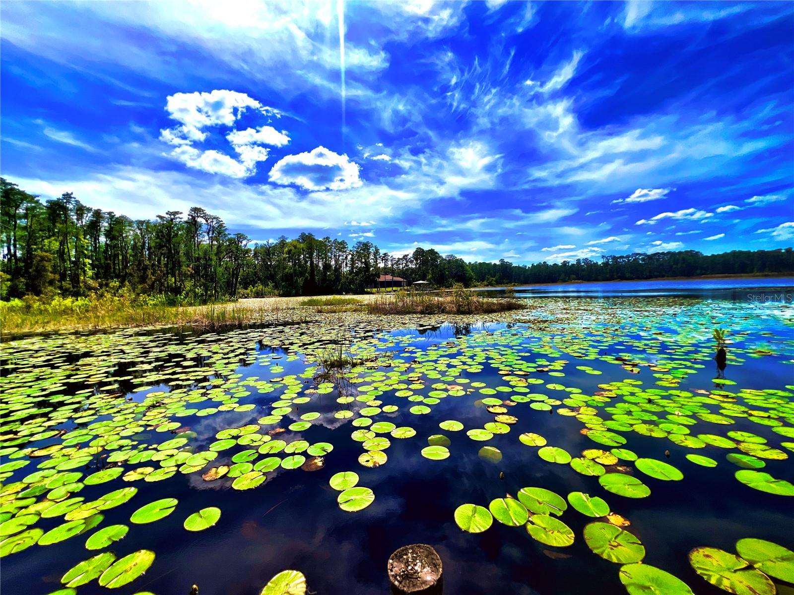 KINGSBOROUGH GARDENS SUB - Residential