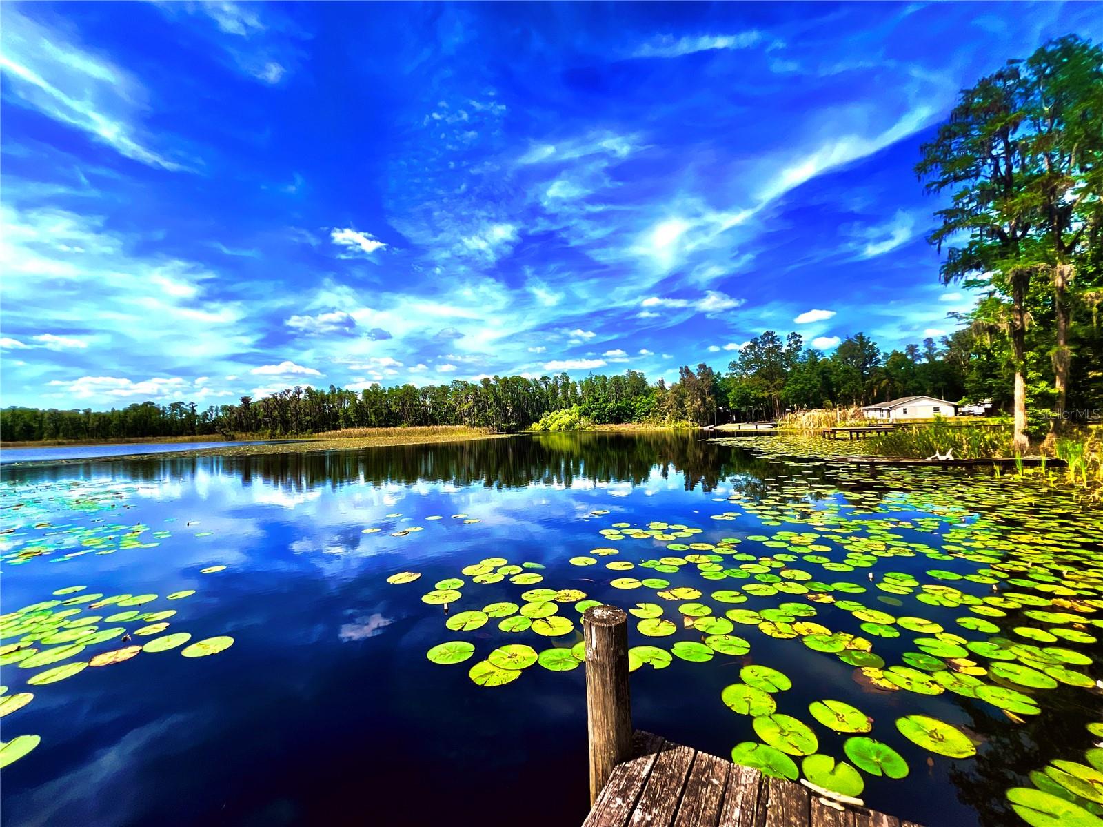 KINGSBOROUGH GARDENS SUB - Residential