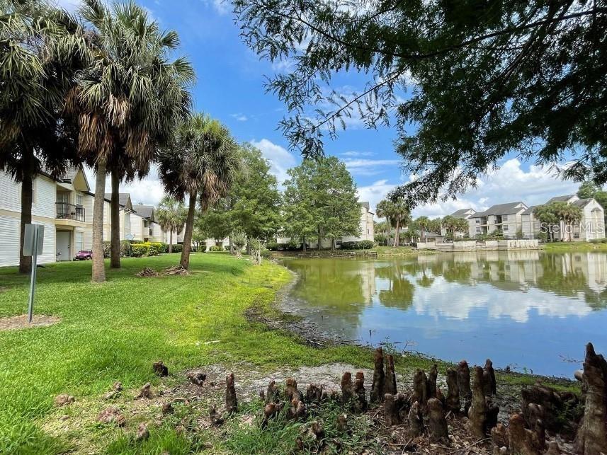PLAZA AT MILLENIUM - Residential Lease