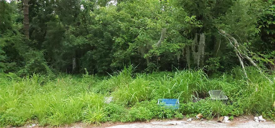 Don’t miss out on this fantastic opportunity to own a prime piece of vacant land in the heart of Sanford! This 0.31-acre lot is conveniently located in a peaceful, wooded setting while still offering easy access to shopping, dining, and major highways.
This property comes with included plans for a duplex, making it ideal for investors or builders looking for an income-producing project. With no HOA restrictions, this is your chance to create your dream home or a profitable rental property.