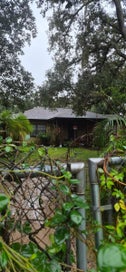 25240 ANTLER STREET CHRISTMAS FL 32709
