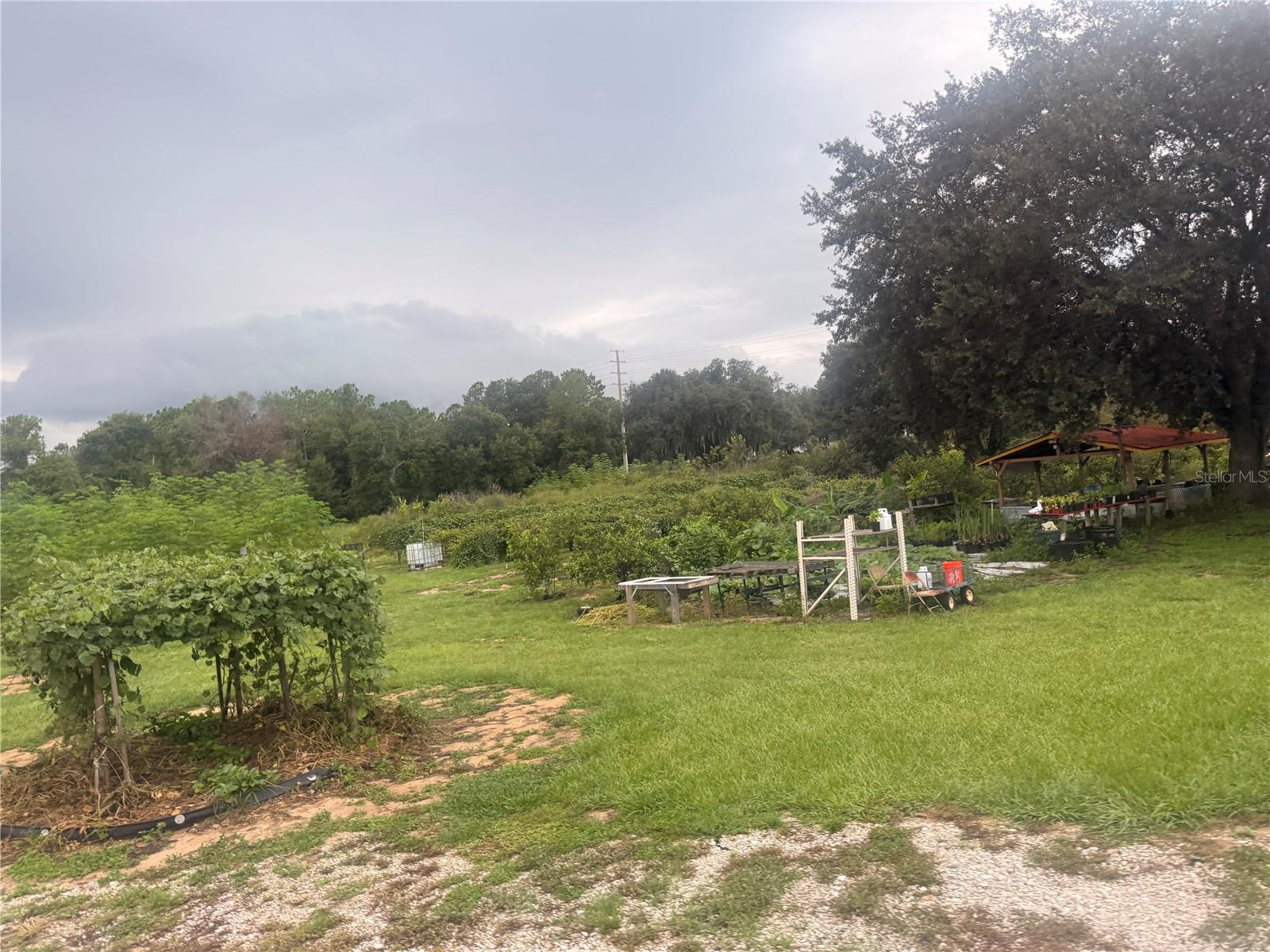 7901 N CHERRY LAKE GROVES ROAD