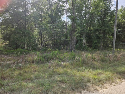 Tiny photo for Tbd NE 153rd Avenue, Williston, FL 32696 (MLS # OM726228)