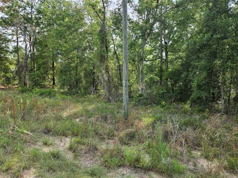 Photo of Tbd NE 153rd Avenue, Williston, FL 32696 (MLS # OM726228)