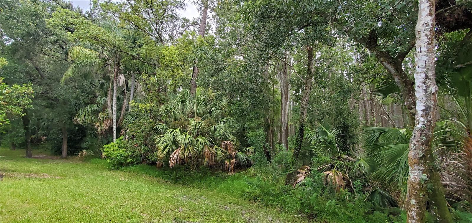 WATERFORD AT PALM HARBOR LUXURY CONDO - Residential Lease