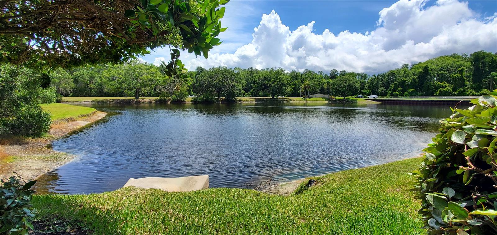 WATERFORD AT PALM HARBOR LUXURY CONDO - Residential Lease