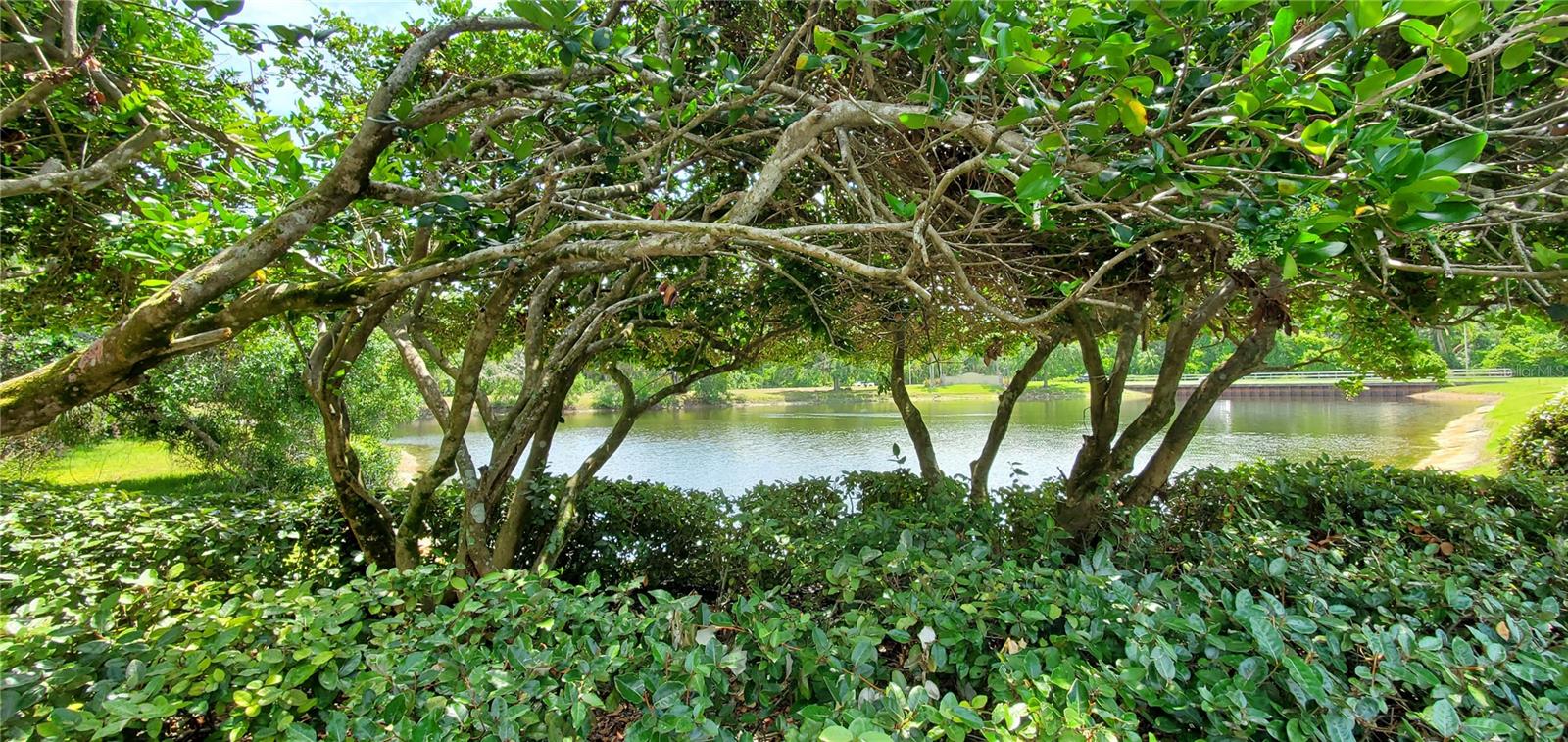 WATERFORD AT PALM HARBOR LUXURY CONDO - Residential Lease