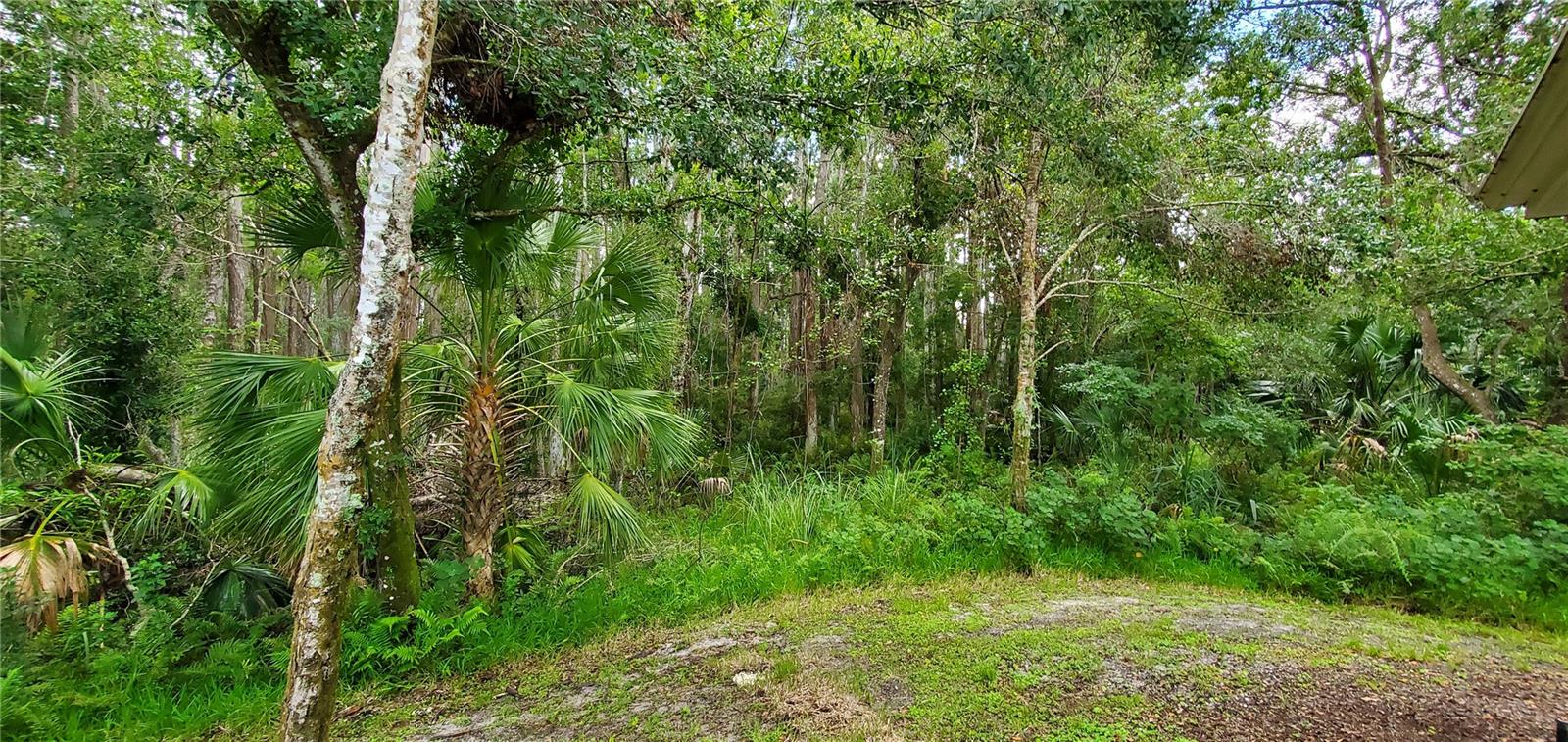 WATERFORD AT PALM HARBOR LUXURY CONDO - Residential Lease