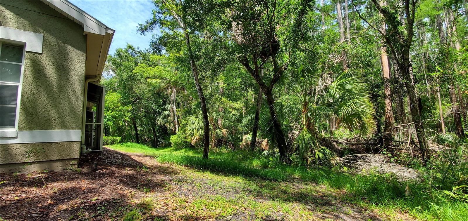 WATERFORD AT PALM HARBOR LUXURY CONDO - Residential Lease