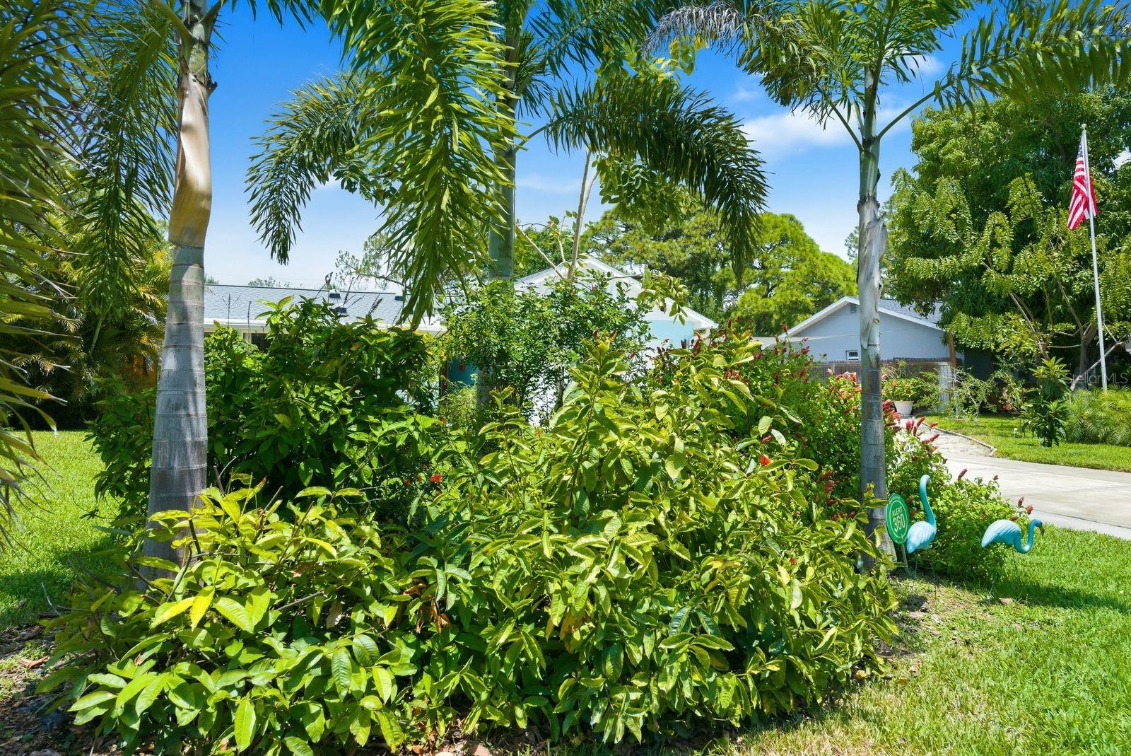 LAKEWOOD ESTATES SEC C - Residential
