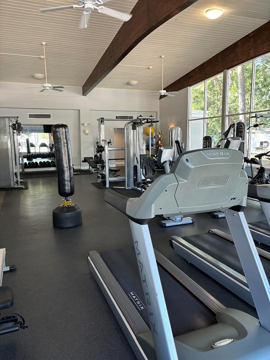 SARASOTA PALMS - Residential